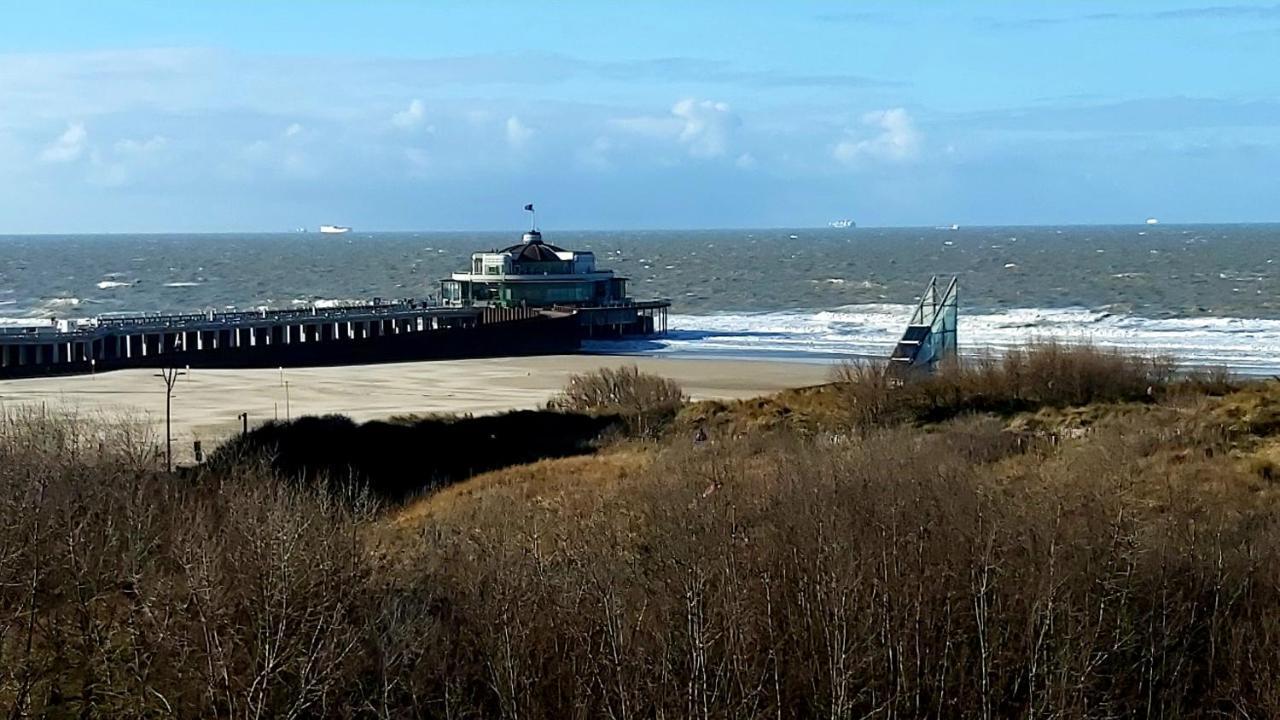 Studio Met Zeezicht Blankenberge Bagian luar foto